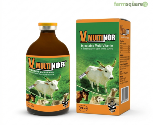 V Multinor veterinary multivitamin injection for poultry and livestock productivity