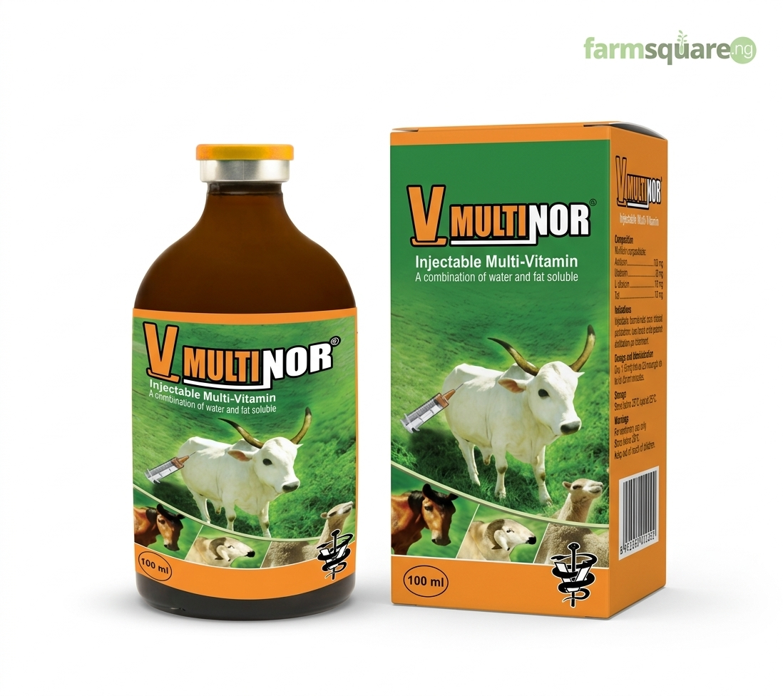 v-multinor-multivitamin-injection-100ml.jpg V Multinor veterinary multivitamin injection for poultry and livestock productivity