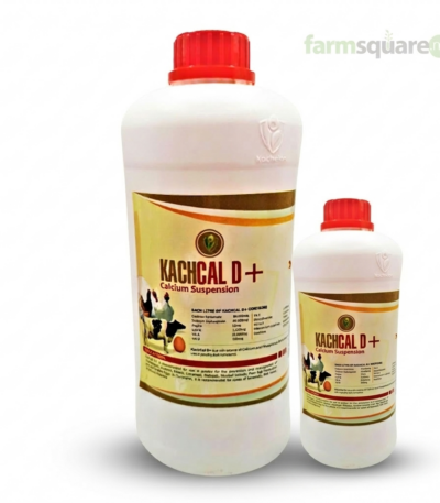 Kachcal D plus calcium supplement for poultry and livestock