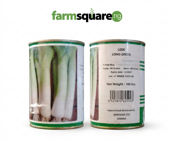 Leek Long Green Spring Onion Seeds | 100g