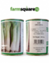 Leek Long Green Spring Onion Seeds | 100g