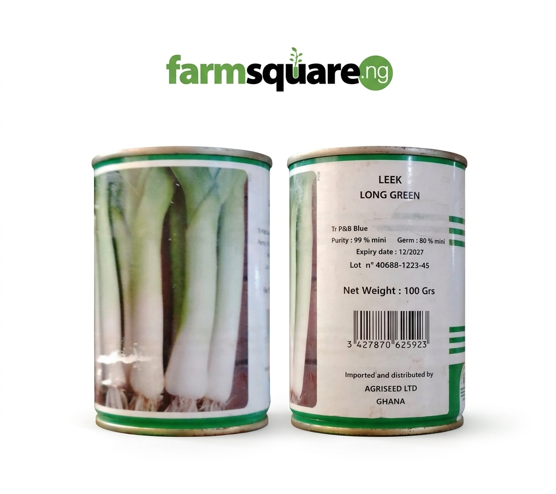 Leek Long Green Spring Onion seeds Leek Long Green Spring Onion Seeds | 100g