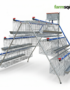 Local poultry battery cage imported design for layer birds