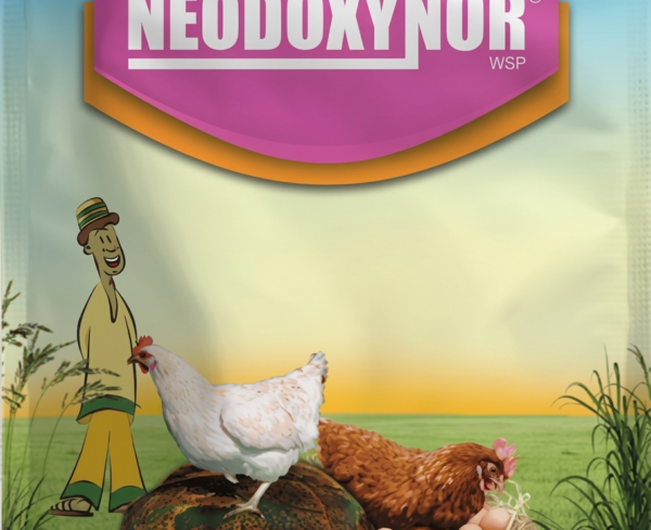 neodoxynor 100g water soluble antibiotic for poultry