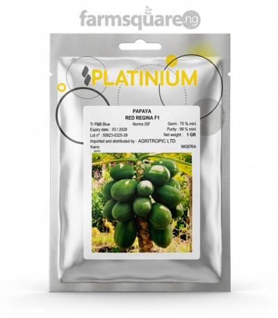 Red Regina F1 pawpaw seeds