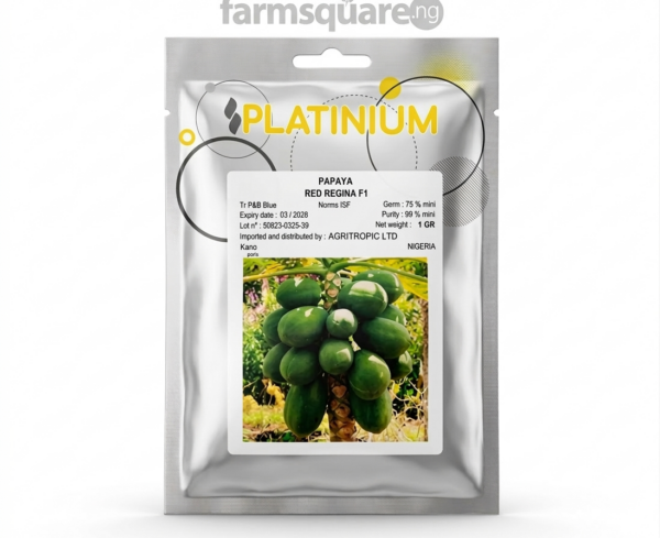 Red Regina F1 pawpaw seeds