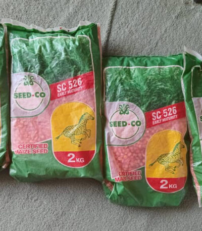 SC 526 SeedCo maize seeds | 2kg