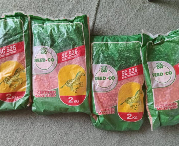 SC 526 SeedCo maize seeds | 2kg