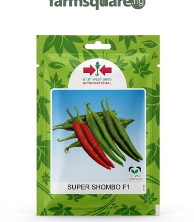 Super Shombo F1 Seeds | 500 Seeds