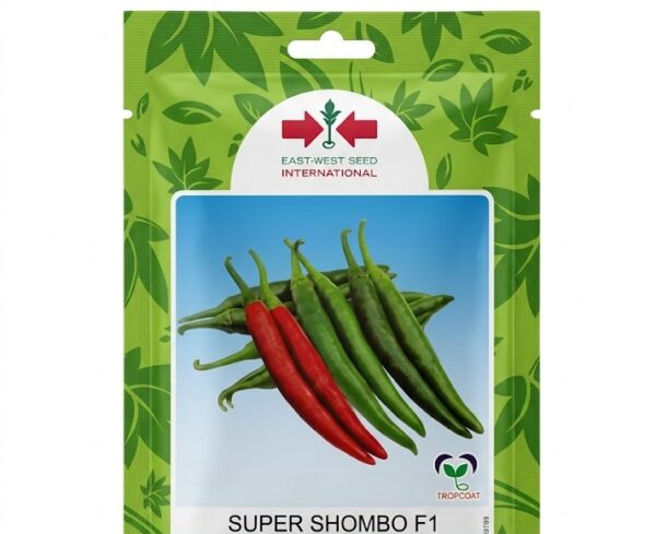 Super Shombo F1 Seeds | 500 Seeds