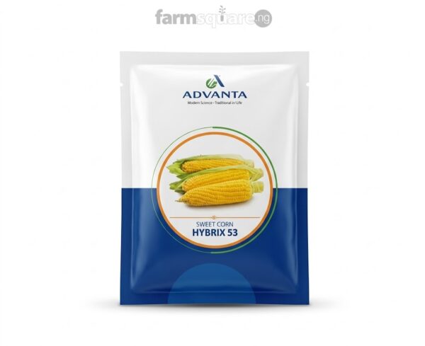 Hybrid 53 Sweetcorn Seeds | (Advanta Brand)250g