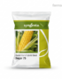 Syngenta Hybrid Sweet Corn Seeds | 500g
