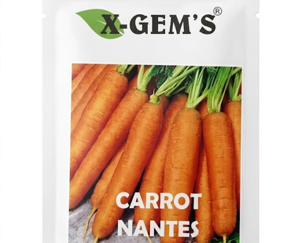 X-GEM'S Carrot Seeds