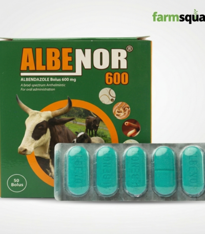 Albenor albendazole bolus for cattle sheep and goats deworming