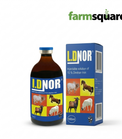 IDNOR Iron Dextran 10 percent veterinary injection for anemia treatment in livestock