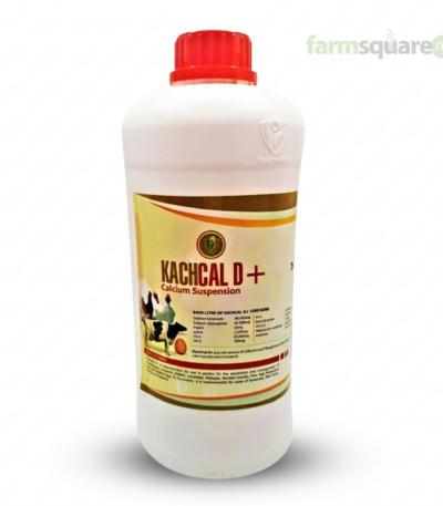 Kachcal D plus calcium supplement for poultry and livestock