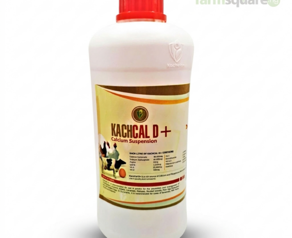 Kachcal D plus calcium supplement for poultry and livestock