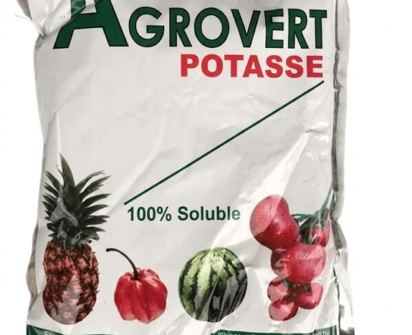 Agrovert Potasse | (Soluble Fertilizer) 1kg