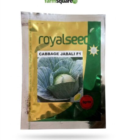 Cabbage Jabaili Seeds