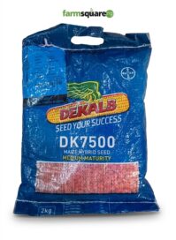DK7500 Hybrid Maize Seeds