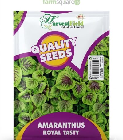 Harvestfield Amaranthus Seed
