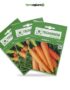 Pamela Carrot Seeds