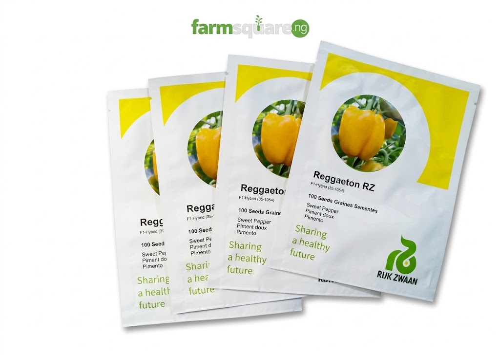 Reggaeton RZ Sweet Pepper Seeds Reggaeton RZ Sweet Pepper Seeds
