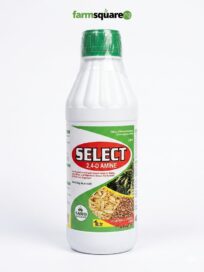 Select 2,4-D Amine Herbicide