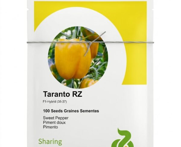Taranto RZ sweet Pepper Seeds