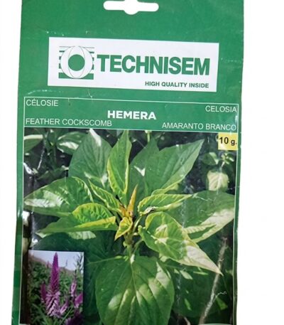 Technisem Hemera Amaranthus Seeds