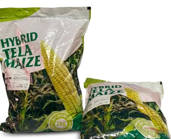 Tela Sammaz Maize Seeds