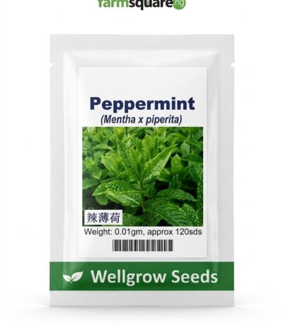 Wellgrow Peppermint Seeds