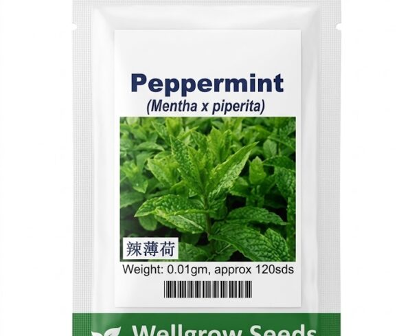 Wellgrow Peppermint Seeds